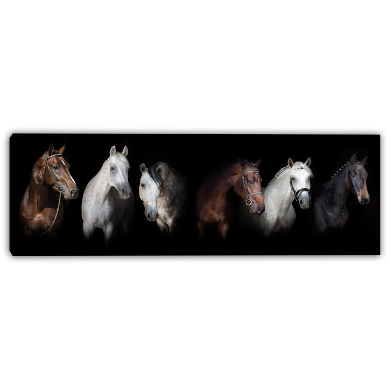 Art sur toile, Noble Companions - Équitation, H 10 po x l 30 po