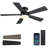 46" Low Profile Ceiling Fan Light With Remote/app Control-266126128
