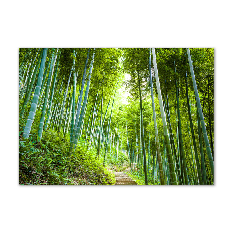 Bamboo Forest - Wrapped Canvas Print