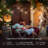 Ambience Pro 27 ft. Solar Outdoor Patio LED String Lights with 12 Warm White S14 Bulbs, 15 Hanging Hooks Included, Weatherproof