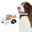 Premier Pet In-Ground Fence System