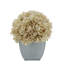 Arrangement d'hortensias écru en pot synthétique-1553681566-1488260804