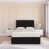 Plush Black