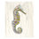 Seahorse Right Print by JP Kilkenny