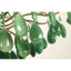 Composants lumineux et lustre allongé en forme de boule-131597466-89648943-89648939