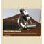 European Vintage Rubber Wood Phonograph - Vinyl/Cd & Bluetooth Speaker
