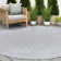 Hassinger Indoor / Outdoor Rug