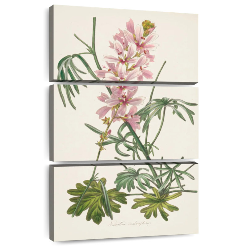 Harnek antique botanique I crème, H 57 po x l 36 po