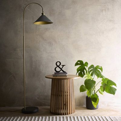 Aidyen 165 H cm Matte Arched Floor Lamp