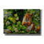 Toile épique «Squirrel Parmi Les Feuilles» par Momart-106173303