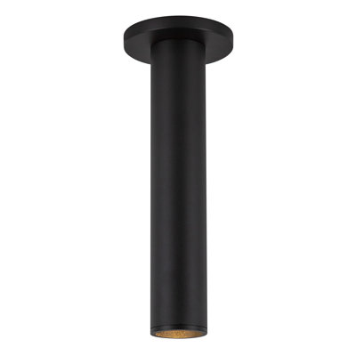 Lorna 12-in (2-in Dia.) 36 Degree Optic Black LED Ceiling Mount