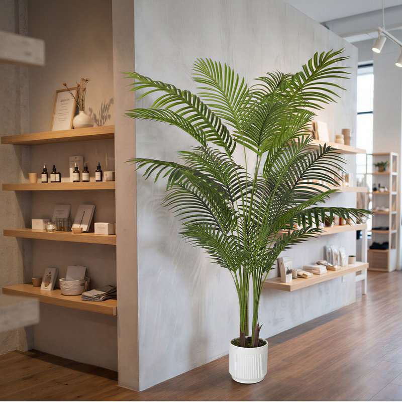 180cm Plant