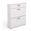 Barbaa 12 Pair Shoe Storage Cabinet