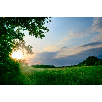 Coucher de soleil sur le pré par Spooh