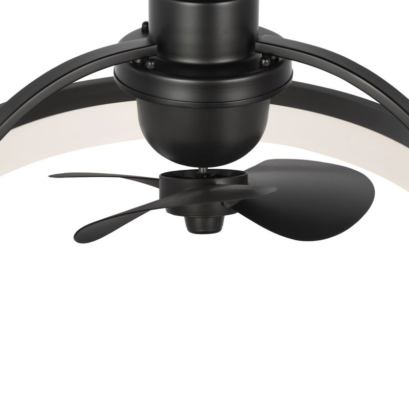 Shear 19'' Ceiling Fan with LED Lights, Matte Black