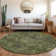 Machine Washable Indoor/Outdoor Chayil ACN1082 Olive Rug