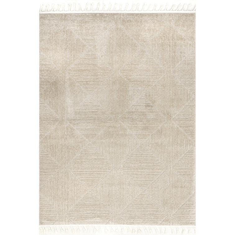 Kerry Textured Geometric Tasseled Area Rug