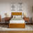 Avdesh Solid Wood Sleigh Trundle Extra Bed-1789888719-1789888717