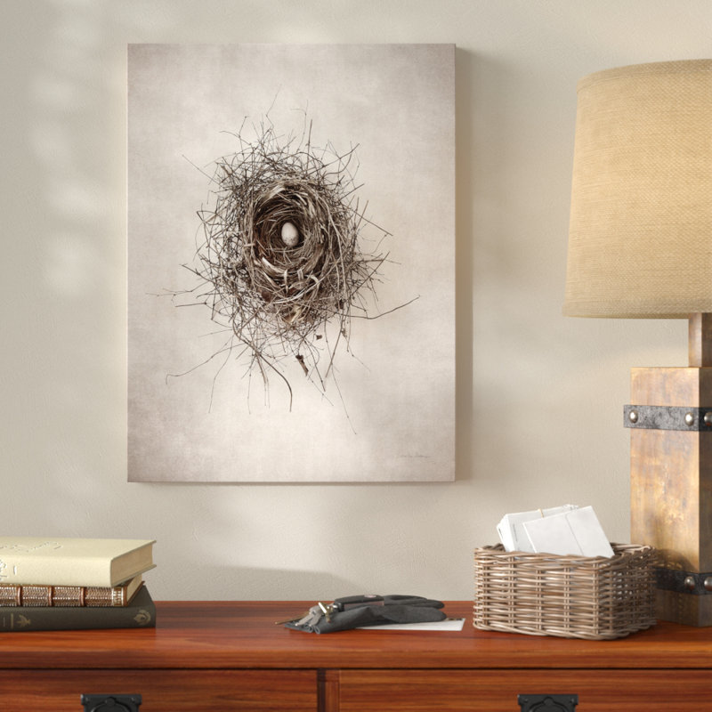 Nest I by Debra Van Swearingen - Photograph on Canvas, 19" H x 14" W