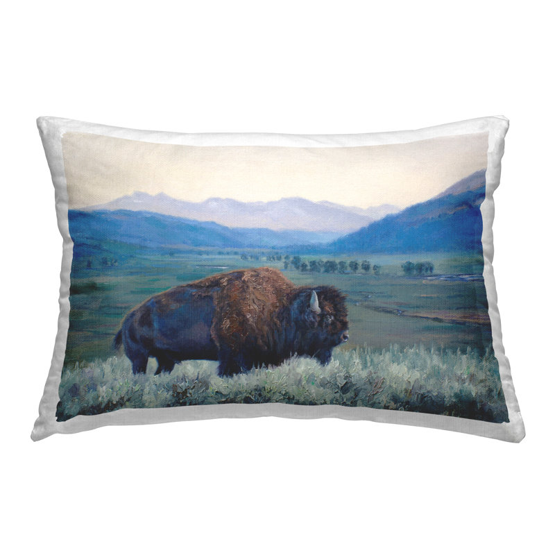 Coussin décoratif imprimé Bison & Country Mountains par © David Graham