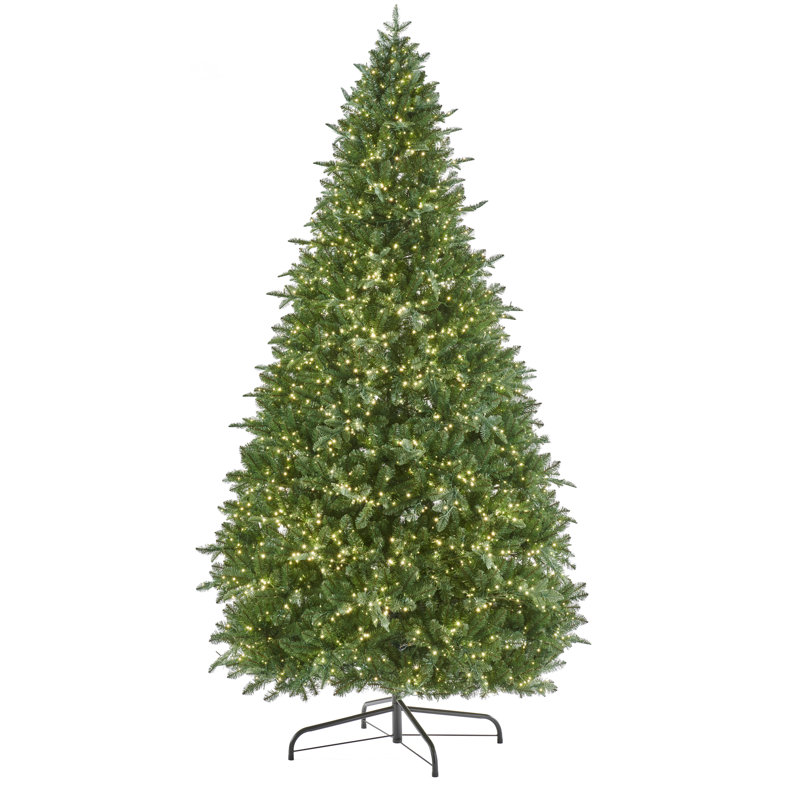 EATON FIR 8.5 H Christmas Tree, 8.5' H, Yes