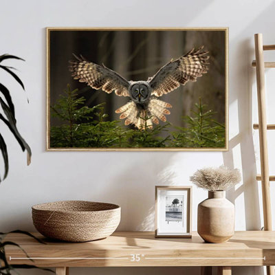 Hibou volant
