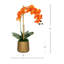 Arrangement orchidée dans un vase