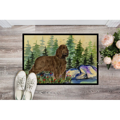 Non-Slip Indoor Doormat