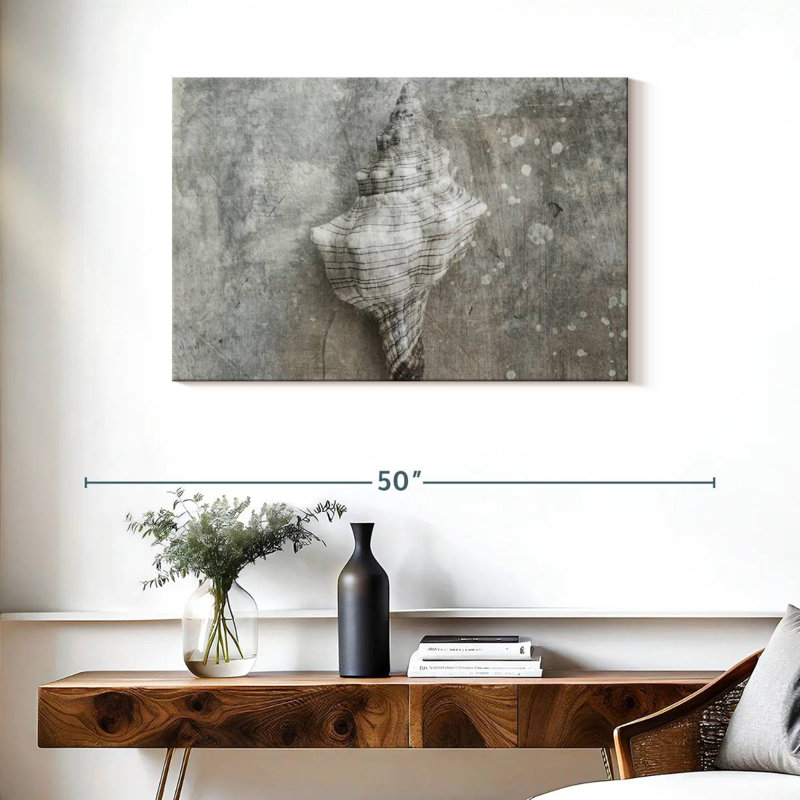 Coquillage Aletra conque gris, H 24 po x l 36 po