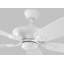 Ventilateur de plafond standard à 5 pales de 52 po avec chaîne de traction Jacobi-586111204