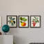 Feuillage antique et fruit VI - ensemble de 3 peintures sur toile encadrées-305686308-305686319