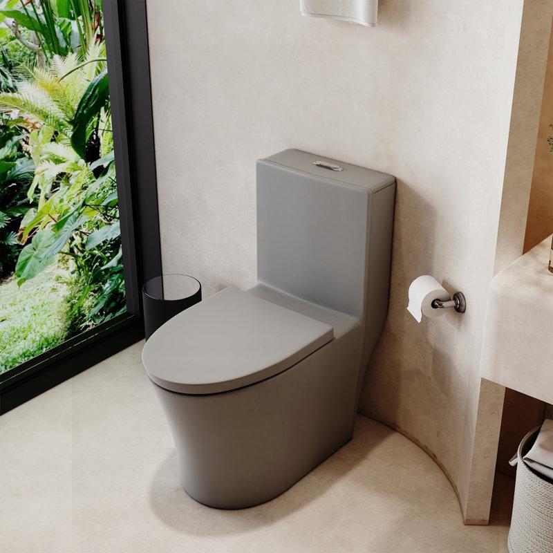 Toilette allongée une pièce à double chasse 1,1 / 1,6 GPF, hauteur confortable, conception économiseur d'eau, CARTE 1000 g