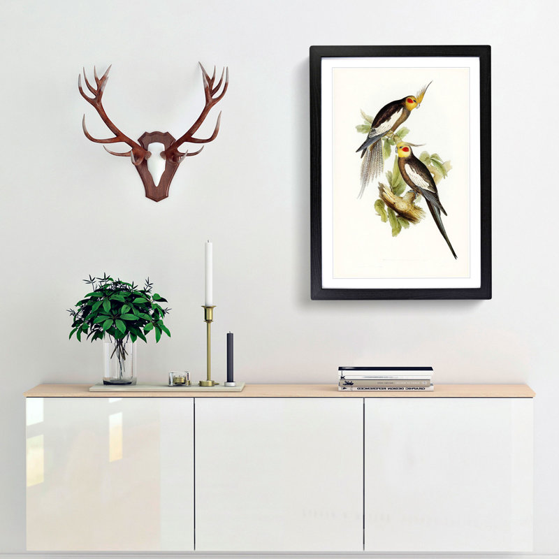 Cockatoo Parakeets by Elizabeth Gould - Picture Frame Painting, Black Framed, 36cm H x 27cm W x 2cm D