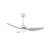 Ceiling Fan with LED Lights-815890392