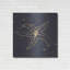 «Gold Starfish III» par Chris Paschke-384819846