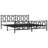 Onufrei Metal Open-Frame Bed-1661055055-1661055054