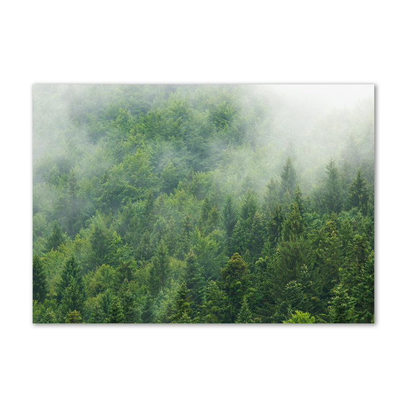 Mysterious Forest - Wrapped Canvas Print