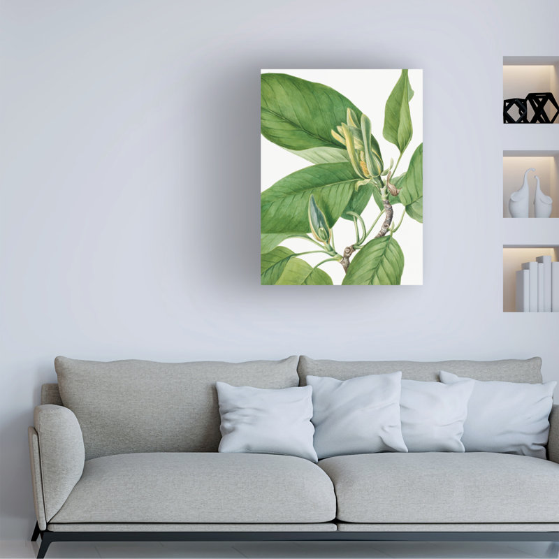 Art sur toile «Bachelor Mary Vaux Walcott», 1922, H 19 po x l 14 po