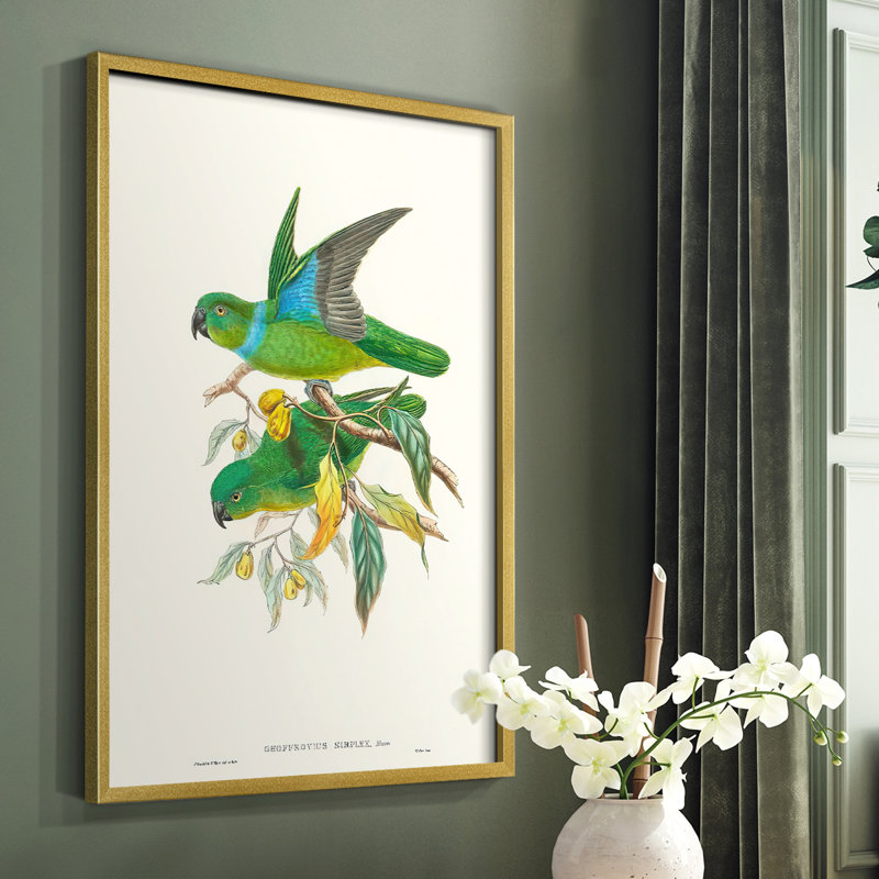 «Lime & Cerulean Parrots II», reproduction encadrée - bois massif, H 20 po x l 16 po