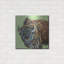 «A Large Bison» par Carolee Vitaletti-1499472076