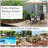 Outdoor Dining Armchair with Cushions
