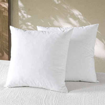  Ensemble de 2 coussins 100% coton en duvet de plumes douces 24 x 24 (ensemble de 2)