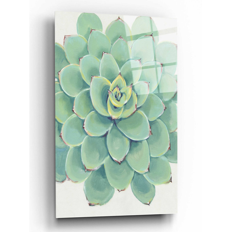 «Pastel Succulent III» par Tim O'Toole, art mural en verre acrylique, H 16 po x l 12 po x P 0,13 po