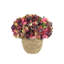 Arrangement floral d'hortensias d'automne Carytown-520612866