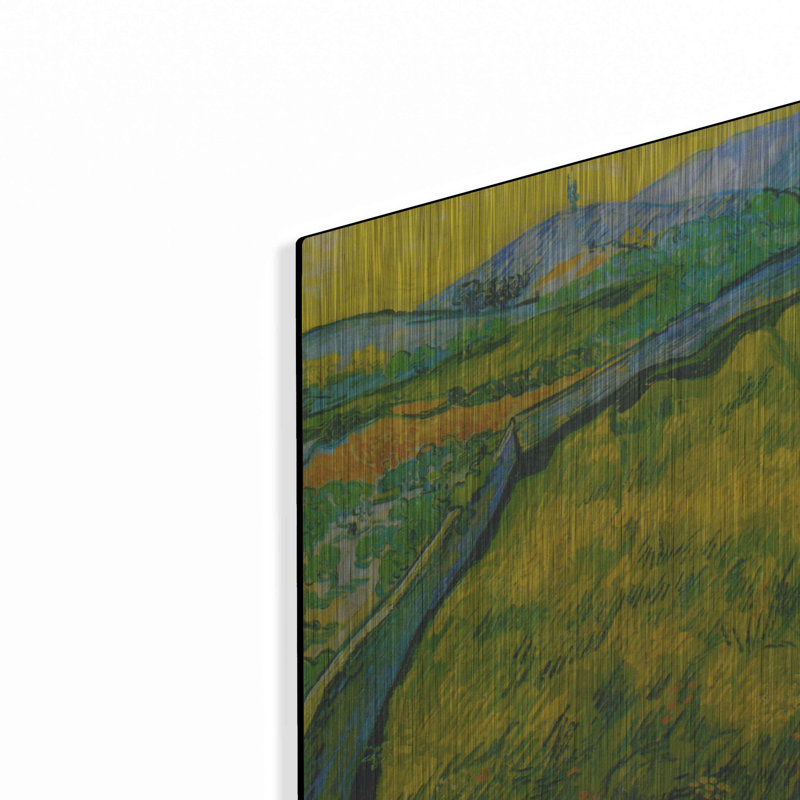 «Seed Field At Sunrise» par MASTERS, H 12 po x l 16 po