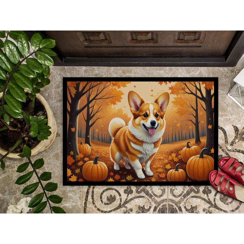 Tapis d'entrée / extérieur antidérapant Nomie, L 24 po x L 36 po