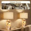 Ensemble de 2 lampes de table