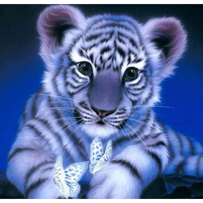 4 Piece No Frame Print on Canvas