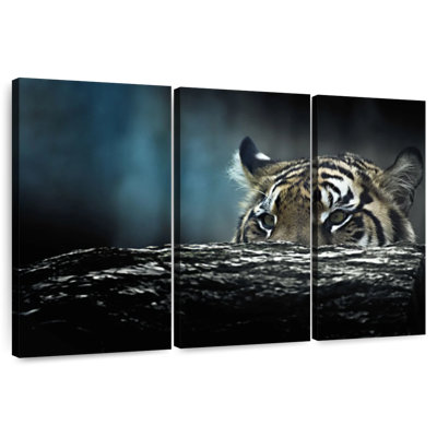Tiger Hunting