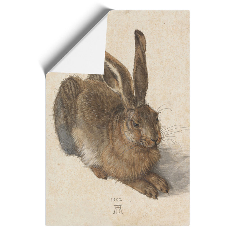 Hare by Albrecht Durer - Wall Art, 30cm H x 21cm W x 0.1cm D